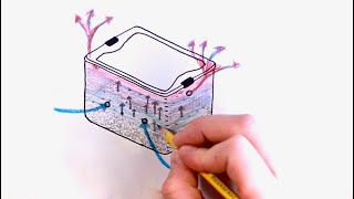 Basics of How a MonoTub Works  Understand Fruiting Conditions Gas Exchange for Growing Mushrooms [upl. by Leboff]