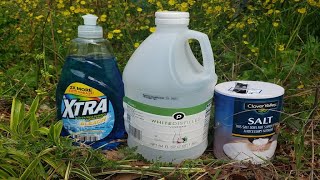 Natural Homemade Weed Killer Recipe Tested by Lawn Care Pro [upl. by Suehtomit547]