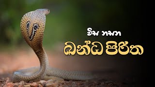 ඛන්ධ පිරිත  Kanda Piritha [upl. by Dorina761]