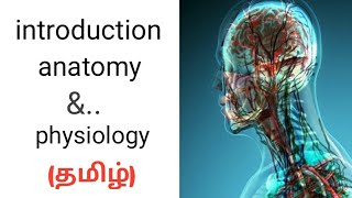 introduction of anatomyampphysiology in tamil [upl. by Acinhoj]