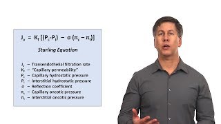 An Approach to Peripheral Edema [upl. by Hesoj]