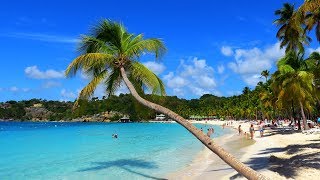 Best Beaches on les îles de Guadeloupe incl Plage de La Caravelle [upl. by Rabi]