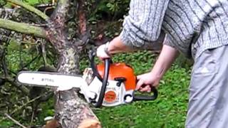 Wycinka drzewa piłą spalinową STIHL MS181 [upl. by Fransen964]