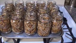 Canning Pecans [upl. by Kimberley757]