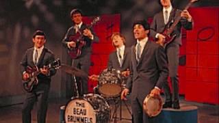 THE BEAU BRUMMELS quotLAUGH LAUGHquotLYRICS [upl. by Keyes]