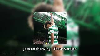 JOTA ON THE WING  1 HOUR version [upl. by Meingolda]