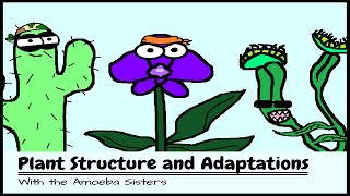 OLD VIDEO Plant Structure and Adaptations [upl. by Reinal]