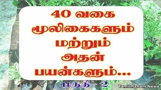 Herbs and their uses in tamil  40 herbal plants and their uses Part 2 [upl. by Richel462]