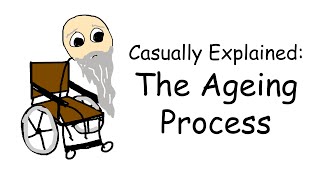 Casually Explained The Ageing Process [upl. by Landry]