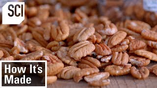 How Pecans Are Manufactured  How It’s Made [upl. by Rbma206]