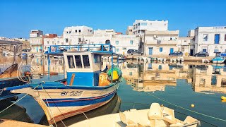 Discover Tunisia  une balade en calèche à Bizerte [upl. by Hahnke]