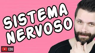 SISTEMA NERVOSO  FISIOLOGIA  Aula  Biologia com Samuel Cunha [upl. by Torie77]