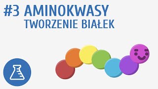 Aminokwasy tworzenie białek 3  Biologiczne związki organiczne [upl. by Nerreg]