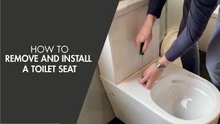 How to Remove and Install a Toilet Seat [upl. by Roose]