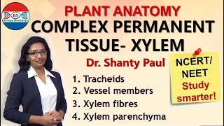 Xylem Complex permanent tissue [upl. by Aaron]