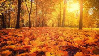 Autumn Days – Primary School Hymn [upl. by Aicirtan]