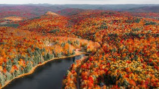 Peak Fall Foliage in New England Experience Autumn [upl. by Glori267]