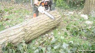 Stihl MS 180 im Holz 2 Teil [upl. by Alliber321]