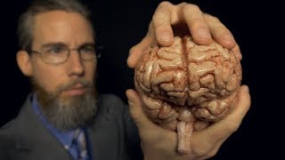 Massaging Your Brain with Professor Clemmons  ASMR [upl. by Hedley489]