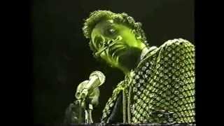 Screamin Jay Hawkins  Alligator Wine  From quotI Put A Spell In Tokyoquot Concert [upl. by Stanhope455]