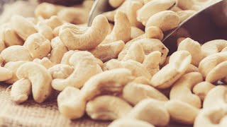 Why You Should Think Twice About Eating Cashews [upl. by Assetak85]