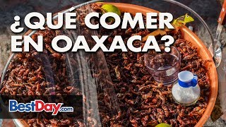 ¿Qué comer en Oaxaca Conozca los mejores platillos Oaxaqueños [upl. by Yuri706]