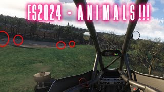 Finding ANIMALS in MSFS2024 [upl. by Lesak6]