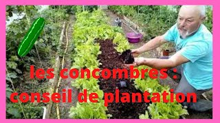 Concombres  conseil de plantation [upl. by Itida994]