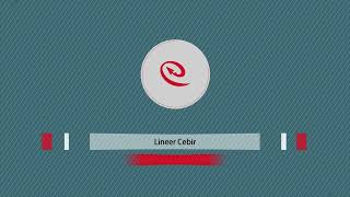 Lineer Cebir I 6 Ders [upl. by Nodnyl]