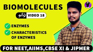 Enzymes amp their characteristics  Biomolecules in Tamil 18 [upl. by Metzger134]