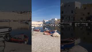 Bizerte vieux port [upl. by Ennairej]