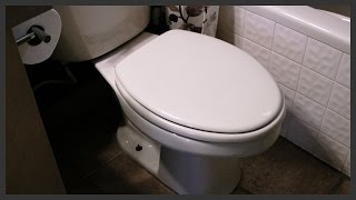 How to fix a loose toilet seat [upl. by Cerveny]