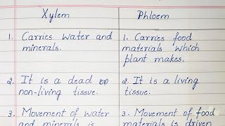 Difference between Xylem and Phloem [upl. by Hadnama]