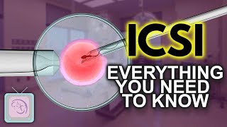 IVF ICSI Procedure  Important things you need to know [upl. by Criswell]