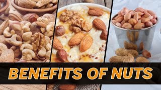 Health Benefits of Nuts  Different Types of Nuts amp their Benefits  Femina Wellness [upl. by Ttreve]