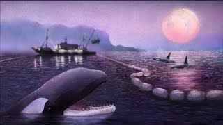 The Dark History of Killer Whale Captures [upl. by Azaria]