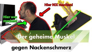 Nackenschmerzen  Aktiviere DIESEN Muskel [upl. by Wes367]