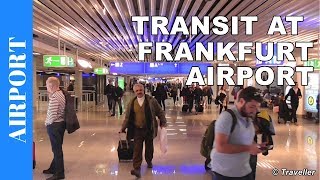 TRANSIT WALK AT FRANKFURT Airport FRA Terminal 1  Connection Flight Transfer Arriving amp Departing [upl. by Asilad639]